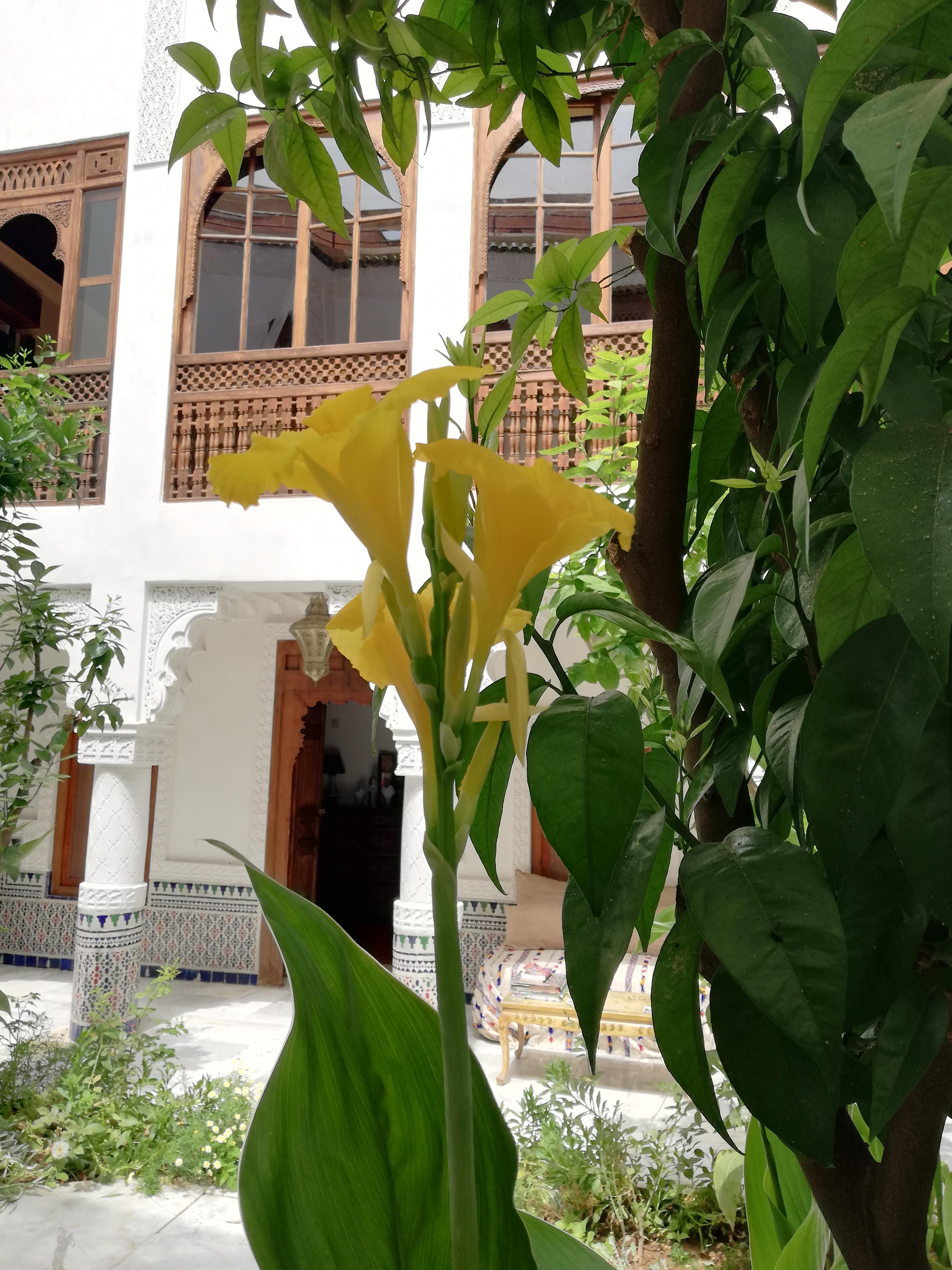 Riad Ben Youssef Marrakesh Esterno foto